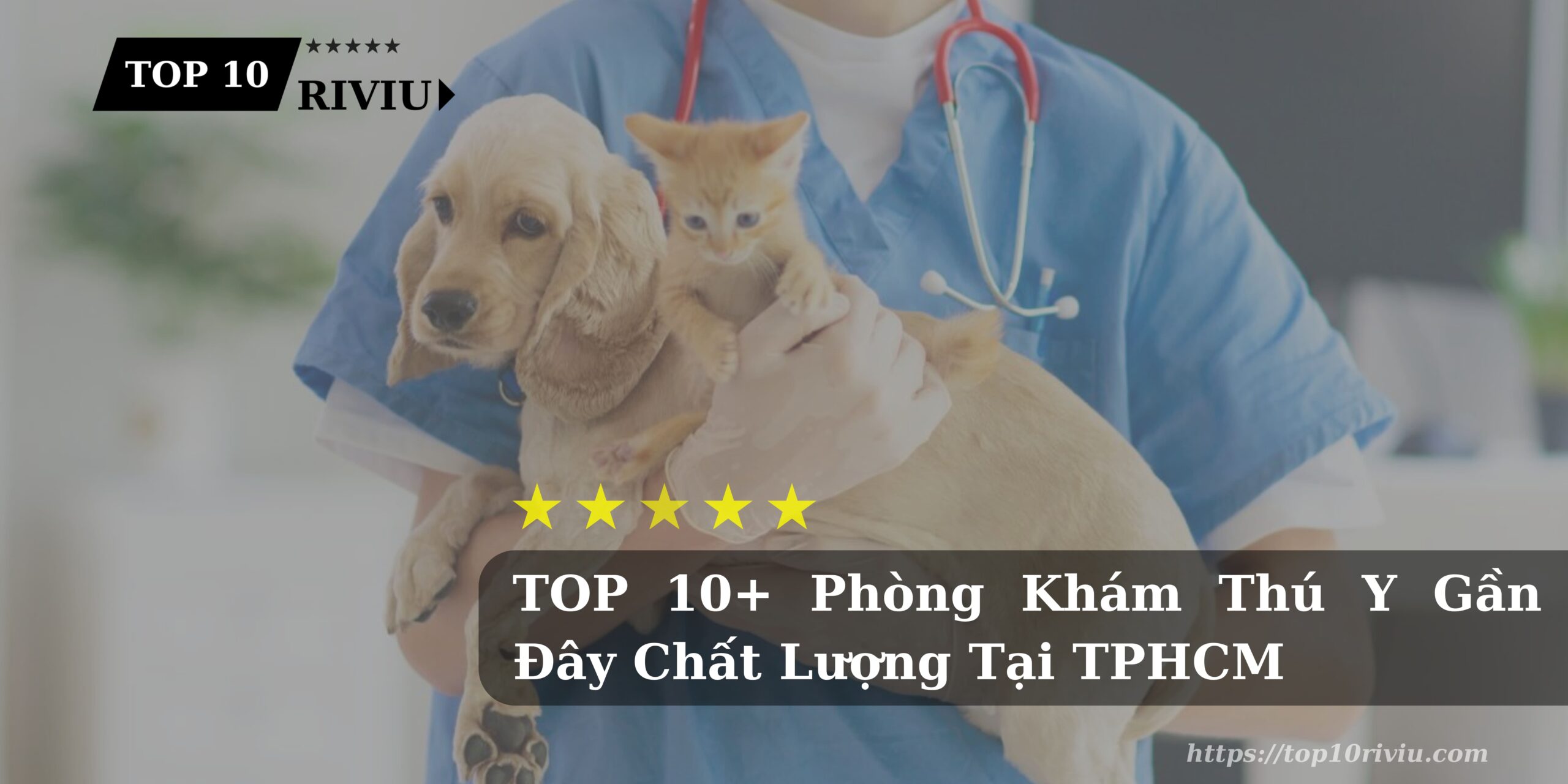 TOP 10+ Phòng Khám Thú Y Gần Đây Chất Lượng Tại TPHCM